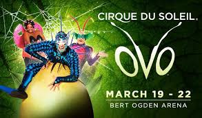 cirque du soleil ovo tickets in edinburg at bert ogden