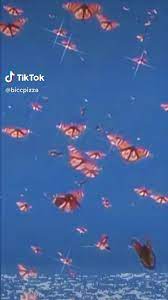 Aesthetic Edit Video Aesthetic Wallpapers Butterfly Wallpaper Iphone Butterfly Wallpaper