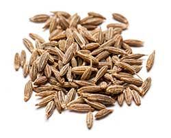 This dictionary has the largest database for word meaning. Cumin Definition And Meaning Collins English Dictionary