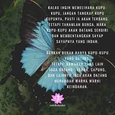 4.1 si biru yang jelita Jangan Tangkap Kupu Kupu Tanamlah Bunga Halaman 1 Kompasiana Com