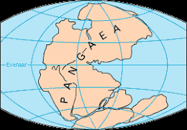 Image result for panthalassa