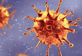 The b117 variant, which was first found in the u.k. No New Restrictions As Trinidad Records First Case Of Covid Variant B117 Nationnews Barbados Nationnews Com
