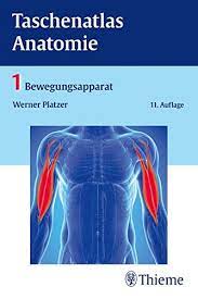 Das blut durchfließt das herz in folgender reihenfolge: Taschenatlas Anatomie Band 1 Bewegungsapparat Amazon De Platzer Werner Bucher