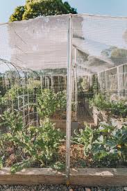 Our enclosure garden fencing help you create a home garden, from sowing seeds to growing and tending your own thriving plants. Veggie Garden Enclosure Diy Before And After Pics Connie And Luna