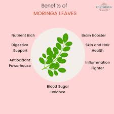 Image result for Moringa