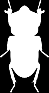 Prompt service.* call us today to schedule a free, zero obligation inspection and estimate. 1800 Pest Control Indoor Outdoor Pest Control And Lawn Care Services