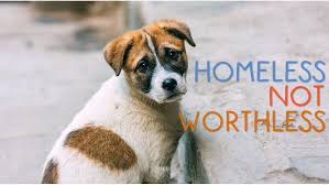 The wildlife of malaysia is diverse, with malaysia being a megadiverse country. Petition Animal Abuse On A Large Scale In The Philippines Change Org