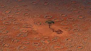 (cnn) — for years fairy circles have been one of nature's great, enduring mysteries. Bbc News Termites Engineer Fairy Circles