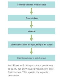 Eutrophication Aquatic Ecosystem Our Planet Environment