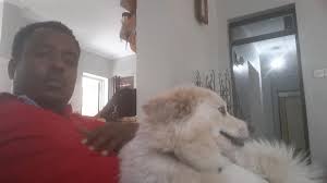 Adam Mlay (@JeshiMr)