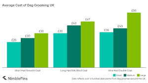 When you understand your insurance costs, you can make better decisions about the type of policy that's right for you and the kind of coverage you need. Average Cost Of Dog Grooming In The Uk 2021 Nimblefins