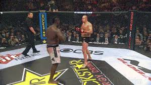 Check spelling or type a new query. Flawless Victory Gif On Imgur