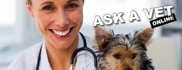 Hi, I'm new to this group and learning about pets