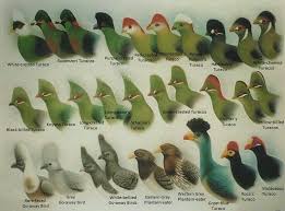 Pin On Wonderful World Birds