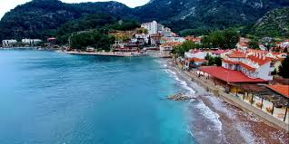 Ve turunç ağacı, akdeniz ikliminin hakim olduğu her turuncun faydalarından bahsetmek istersek de, turuncun faydaları arasında ilk olarak, turunç. Turunc Koyu Plaji Gezicini Gezilmesi Gorulmesi Gereken Yerler