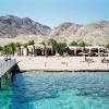 Coral beach nature reserve0.4 mi. Https Encrypted Tbn0 Gstatic Com Images Q Tbn And9gctxvz8ew69fkonuogwodsmdvqmeh5bfw6swcpm4b Zmn4ack5pq Usqp Cau