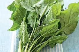 English Spinach