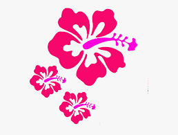 Coral Hibiscus Svg Clip Arts Hawaiian Flowers Clip Art Free Transparent Clipart Clipartkey Free for commercial use with attribution. coral hibiscus svg clip arts hawaiian