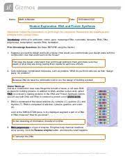 Unzipping of dna, formation of mrna, attaching of mrna to the ribosome, and linking of amino acids to form a protein. Gizmo Rna Protein Synthesis Pdf Name Malik A Musawi Date 19 Octobor 2020 Student Exploration Rna And Protein Synthesis Directions Follow The Course Hero
