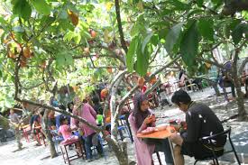 Cafe kebun coklat yang unik ini bisa kamu jadikan sebagai tujuan wisata santai bersama keluarga maupun . Kampung Coklat