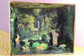 Biome In A Box Tropical Rainforest How To Make A Rain Forest Diorama Ehow Rain Forest Diorama Rainforest Project Habitats Projects