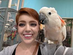 Met my soulmate at the Exotic Avian Sanctuary in TN. : r/PartyParrot