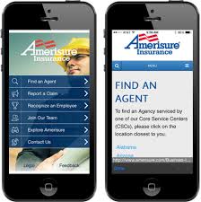 We did not find results for: Amerisure Insurance Biznet Digital