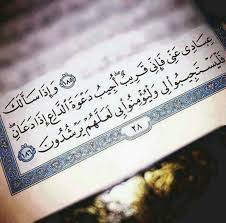 Desertrose يارب Quran Learn Quran Islam