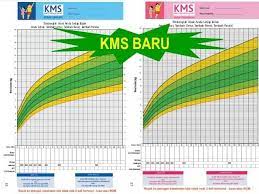 Anjuran untuk hidup sehat tonk operoacanskan 1. Kms Bayi Cek Yuk Moms Fungsi Dan Manfaatnya Orami