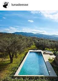 Une Piscine Au Milieu Des Vignes Swimmingpool Architecture Pool Landscaping Luxury Pools Pool Designs