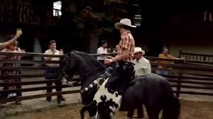 Jul 29, 2021 · hems brothers mortuary. Yarn The Ochoa Brothers Jorge That S Fabio On The Horse Narcos 2015 S01e01 Video Clips By Quotes 590dda73 ç´—