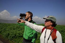Image result for ‫گردشگر‬‎