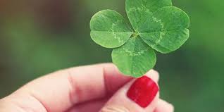 She grew close to gregor the snail and eventually married him. Fun Facts About Four Leaf Clovers For St Patrick S Day Better Homes Gardens