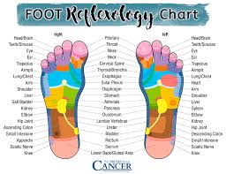 45 Paradigmatic Reflexology Toothache Chart