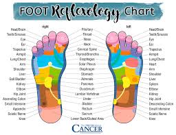 45 Paradigmatic Reflexology Toothache Chart