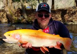 Measuring 20 inches long, with a girth of 12 inches. Worth A Thousand Words Pittsburgh Post Gazette