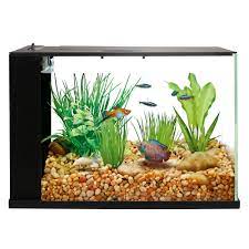 Despite the fact that bettas are often sold in tiny bowls, your betta fish needs a regular aquarium with the proper. Petsmart 3 Gallon Fish Tank Online Shopping