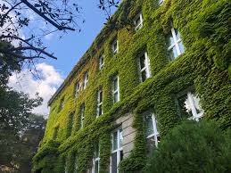 File:Mitchell Hall, Robert College.jpg - Wikimedia Commons