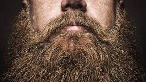 If you're wondering how long does it to take to grow a full beard then you've arrived at the right place. Are Beards Good For Your Health Bbc News