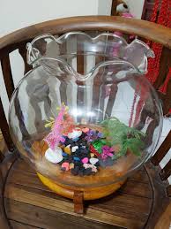 Aquarium ikan cupang mini ukuran 475ml akuarium kecil kaca hias bulat: 1 Set Aquarium Bulat Kaca 12liter Perlengkapan Hewan Aksesoris Hewan Di Carousell