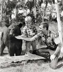 We did not find results for: 20 Gentle Ben Ideas Gentle Ben Old Tv Shows Classic Tv