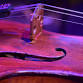 An Afternoon of Chamber Music event image