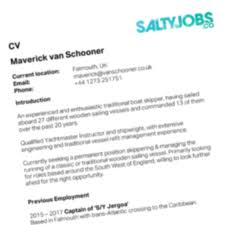 закат солнца вручную смотреть онлайн бесплатно в хорошем качестве Saltyjobs Cv Review Service Saltyjobs Co