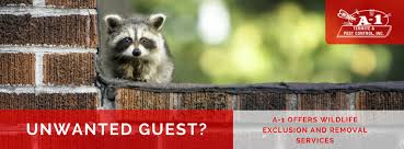 Once bugs and other pests find a safe place where they can live and breed, chances are. A 1 Pest Control Home Facebook