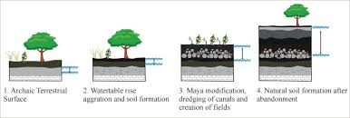 Ancient Maya Wetland Management In Two Watersheds In Belize Soils Water And Paleoenvironmental Change Sciencedirect
