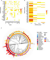 See what hassan abbaszadeh (hassanabbaszade) has discovered on pinterest, the world's biggest collection of ideas. Life Histories As Determinants Of Infection Prevalence For Trypanosomatids A Meta Analysis Biorxiv