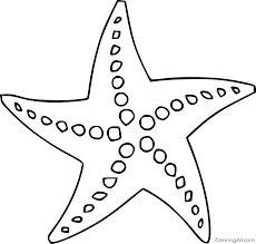 Color page ocean coloring book ocean animals zentangle sea animals nautical coloring pages seastar pattern seahorse coloring book mandala ocean ocean coloring pages coloring pages for adults fish. Starfish Coloring Pages Coloringall