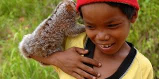 Kemajuan REDD+ di Doha lambat bila pemahaman kaitan karbon, biodiversitas,  dan masyarakat belum baik