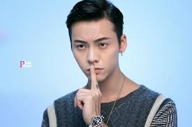 Trần Vỹ Đình lọt danh sách Người nổi tiếng Trung Quốc 2017 do Forbes bình  chọn