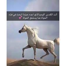 شعر عن الخيل ابيات شعريه عن الجواد احبك موت